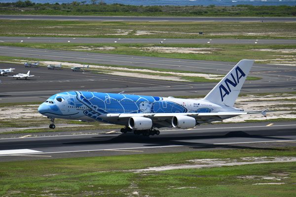 ANA（エアバスA380型機、ダニエル・K・イノウエ国際空港）