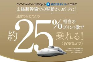 ヴィアイン　WESTER