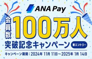 ANA Pay 100万人