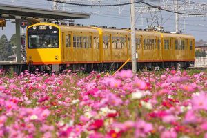 三岐鉄道　北勢線